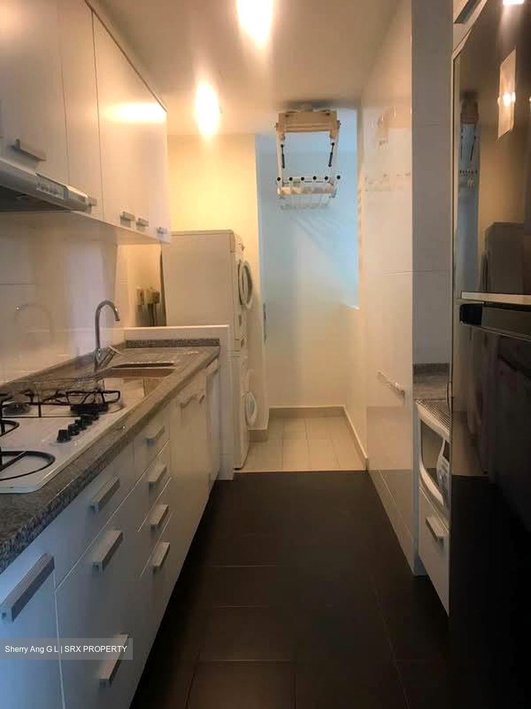 Amaryllis Ville (D11), Condominium #563632371